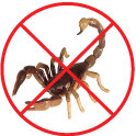 Les  scorpion