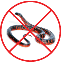 Les  serpents