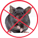 Les  souris