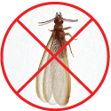Les Termites